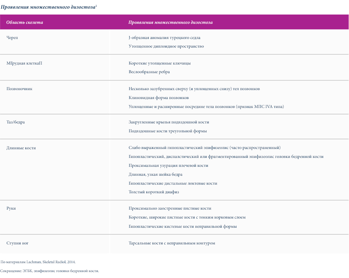 Проявления множественного дизостоза _AMc